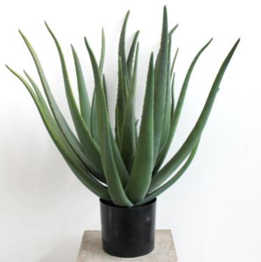 artificial-potted-plant-large-green-aloe-vera-plant-70cm-29012671-0-1403711668000